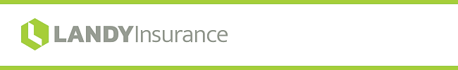 Landy Insurance branding header