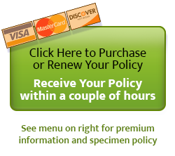 Accountants Professional Liability